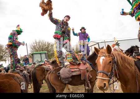 Costumed revelers dance on their horses during the Mamou Courir de Mardi Gras chicken run on Fat Tuesday February 17, 2015 in Mamou, Louisiana. The traditional Cajun Mardi Gras involves costumed revelers competing to catch a live chicken as they move from house to house throughout the rural community. Stock Photo