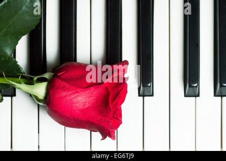 Red rose lying on piano keyboard. Abstract music background. Top view image Stock Photo