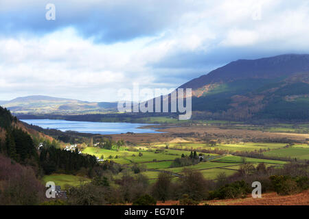 View from Whinlatter Pass towards Lake Bassenthwaite overlooked by Skiddaw in The Lake District, UK
