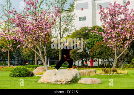 Shanghai, China - April 7, 2013: one old woman exercising tai chi with traditional costume in gucheng park in the city of Shanghai in China on april 7th, 2013 Stock Photo