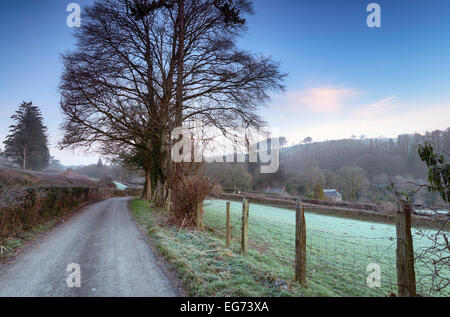 A frosty country lane in the Glynn Valley near Bodmin in Cornwall Stock Photo