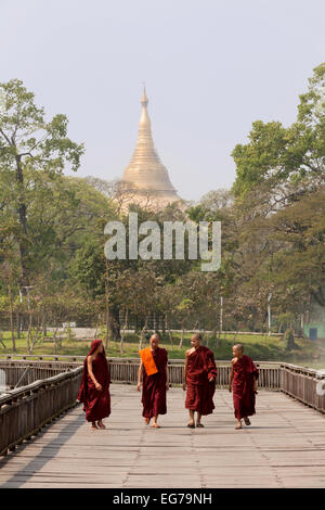 Four young buddhist moks walking at Kandawgyi Lake; The Shwedagon Pagoda in the background, Yangon, Myanmar ( Burma ), Asia Stock Photo