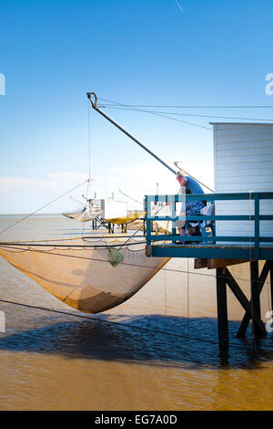 Man using net to remove catch from carrelet net on traditional fishing hut. Stock Photo