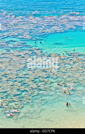 day view of snorkeling tropical paradise Hanauma bay in Oahu, Hawaii Stock Photo