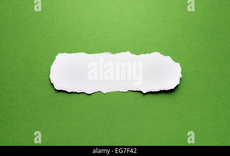 A piece of torn paper on a green background. Space for text. Stock Photo