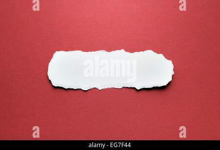 A piece of torn paper on a red background. Space for text. Stock Photo
