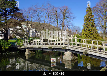 Swan Pool, Priory Park, Great Malvern, Worcestershire, England, UK in Winter Stock Photo