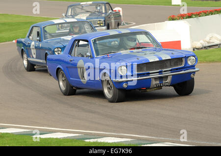 The Ford Mustang is an American automobile manufactured by the Ford Motor Company. Examples here racing at Goodwood Revival Stock Photo