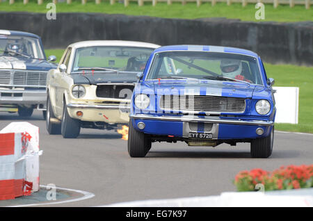 The Ford Mustang is an American automobile manufactured by the Ford Motor Company. Examples here racing at Goodwood Revival Stock Photo