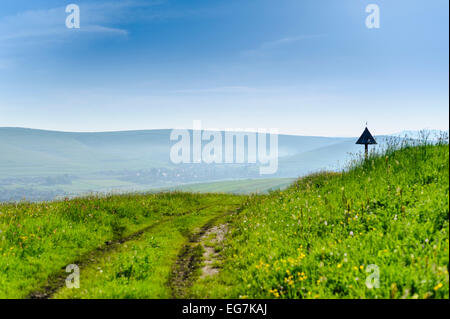 Green hills and meadow with wild flowers in hills, mountains, countryside. Romania, Transylvania, Harghita. Stock Photo