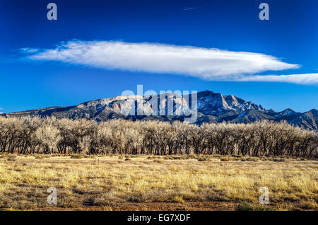 View of the Sandia Mountains and tree line outside Albuquerque New Mexico USA Stock Photo