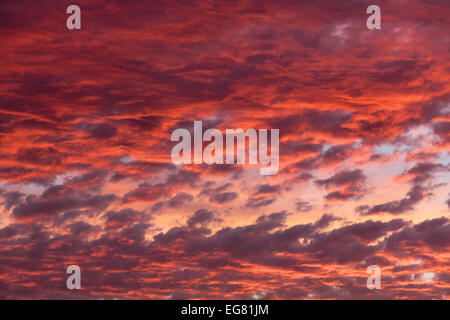 Clouds on sunset sky, background Stock Photo