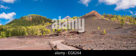 Path leading past Montana Boca Cangrejo, Tenerife, towards Montana de Chinyero, with Teide and Pico Viejo in the background