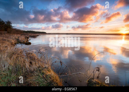 Stunning sunrise over Crowdy Lake a small reservoir on the edge of Bodmin Moor near Davidstow in Cornwall Stock Photo
