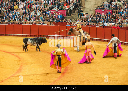 SEVILLE, SPAIN - April, 28: Corrida at Maestranza bullring on April, 28, 2012 in Seville, Spain Stock Photo