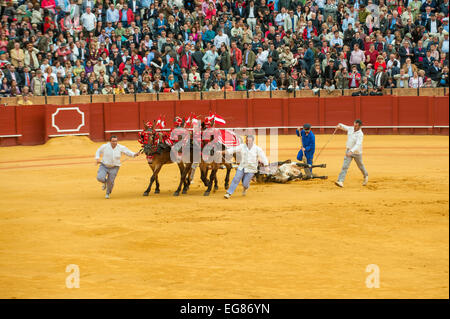 SEVILLE, SPAIN - April, 28: Corrida at Maestranza bullring on April, 28, 2012 in Seville, Spain Stock Photo