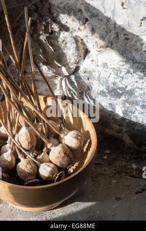 Collecting Dried Poppy seed pods in a wooden bowl on a shed window ledge Stock Photo