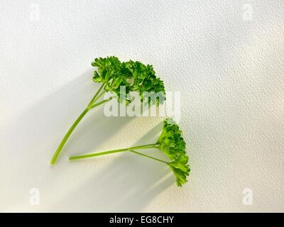 herbs: parsley Stock Photo
