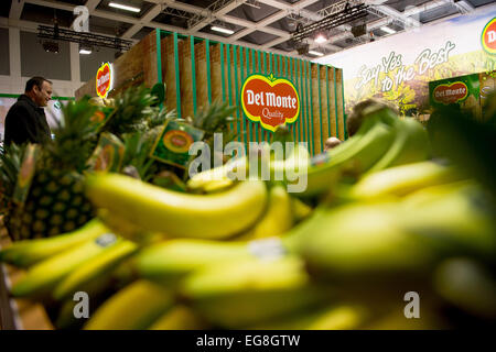 Berlin, Germany. 4th Feb, 2015. Bananas of fruit producer Del Monte are on display at the food fair Fruit Logistica in Berlin, Germany, 4 February 2015. Photo: Felix Zahn/dpa/Alamy Live News Stock Photo