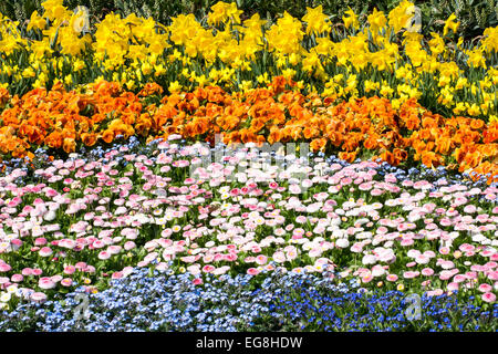 Different spring flowers in the garden Stock Photo