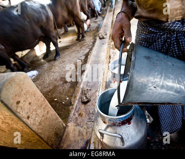 Aarey Milk Colony is a conglomeration of private buffalo dairy farms situated in Goregaon a suburb of Mumbai. It covers an area Stock Photo