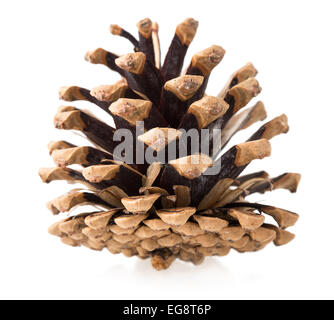 bump isolated on white background Stock Photo