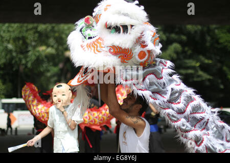 Sao Paulo, Brazil. 19th Feb, 2015. People perform lion dance during an event in Sao Paulo, Brazil, on Feb. 19, 2015. Sao Paulo on Thursday announced the Chinese Lunar New Year celebration which will be held on Feb. 21 and Feb. 22. Credit:  Rahel Patrasso/Xinhua/Alamy Live News Stock Photo