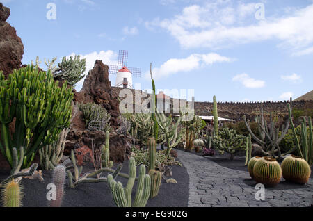 The Cactus Garden El Jardin del Cactus designed  Lanzarote Artist  Cesar Manrique. Stock Photo
