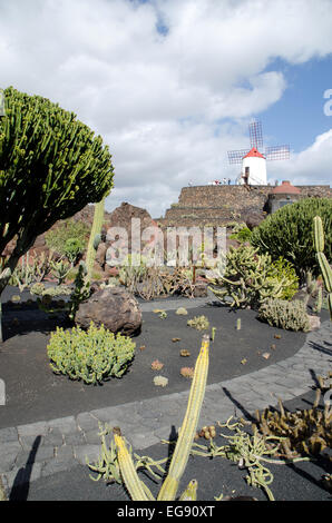 The Cactus Garden El Jardin del Cactus designed  Lanzarote Artist  Cesar Manrique. Stock Photo