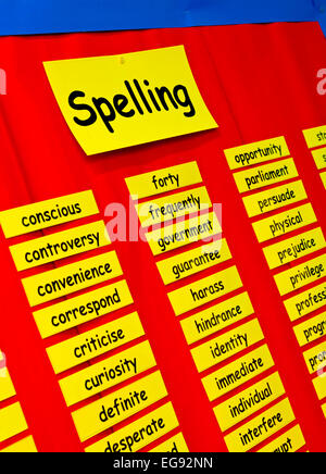 Primary school spelling wall chart with words spelt out for pupils to learn Stock Photo