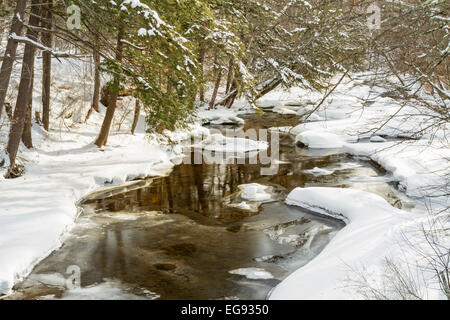 Trees reflected in a half frozen stream, Platte Kill, in Delaware County in the Catskills Mountains of upstate New York Stock Photo
