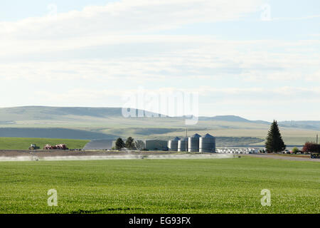 A traditional farm scene with crops and buildings Stock Photo