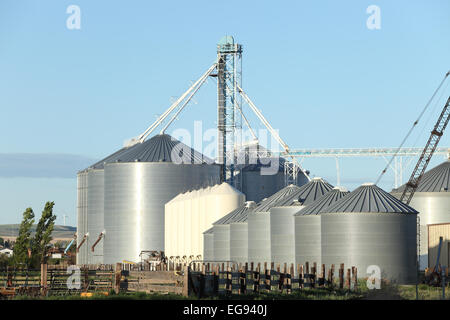 A group of granaries for storing wheat and other cereal grains.  It is located next to a railroad siding for easy loading. Stock Photo