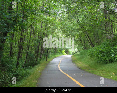 Bike trail through a wooded urban park with green trees reaching on either side. Stock Photo