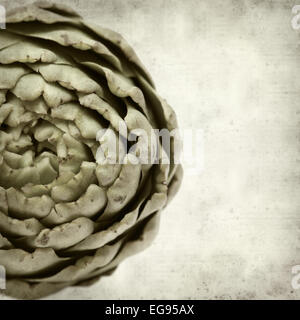 textured old paper background with artichoke Stock Photo