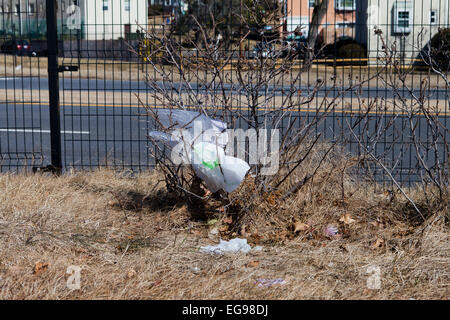 Plastic grocery bags stuck on roadside bushes - USA Stock Photo