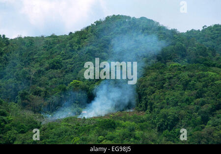 Shifting cultivation, with patch of recently cleared tropical rainforest being burned to make a crop field in Belize, Central America Stock Photo