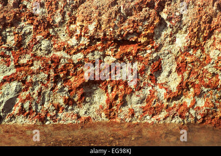 Soil cross section showing iron concretions developing in a tropical Ultisol in Belize, Central America Stock Photo