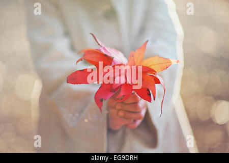 Girl holding fall leaves Stock Photo