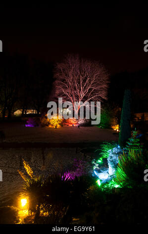 Nottingham Castle grounds lit up as part of Light Night in Nottingham, Nottinghamshire England UK Stock Photo