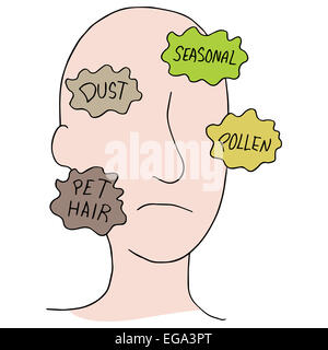 An image of allergy sources. Stock Photo