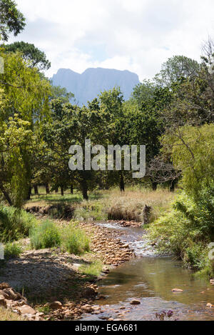 Lourens River at Somerset West in the western Cape South Africa Stock Photo