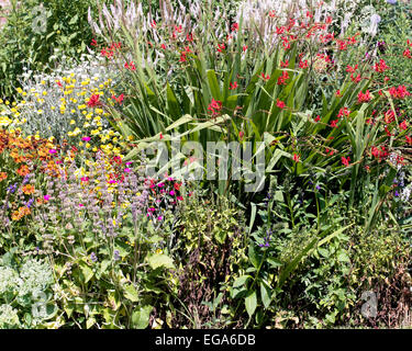 Herbaceous border at Arley Hall and Gardens Stock Photo