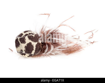 toy cat isolated on white background Stock Photo