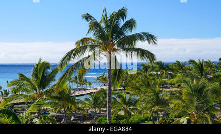 Waikoloa Resort, Kohala Coast, Island of Hawaii Stock Photo