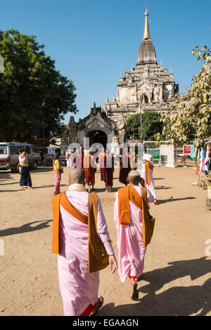 Buddhist nuns in pink and monks in red robes at Gawdaw Palin,Gaw,Daw Gawdawpalin,Buddhist temple Pagan,Bagan Burma, Myanmar Stock Photo