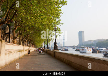 The Albert Embankment next to the River Thames in London Stock Photo