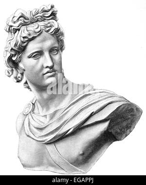 The Apollo of the Belvedere or Pythian Apollo, marble sculpture from Classical Antiquity, Stock Photo