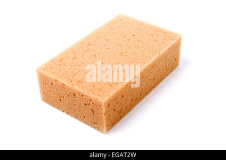Sponge isolated on white Stock Photo