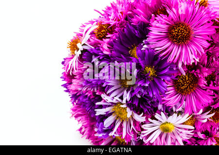 mixed bouquet chrysanthemum on white background Stock Photo